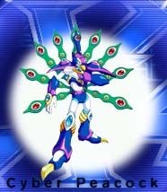 Cyber Peacock