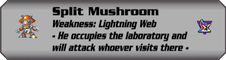 Split Mushroom