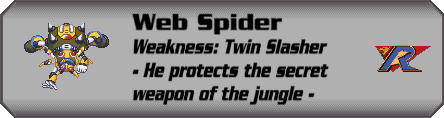 Web Spider