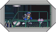 Squid Adler stage