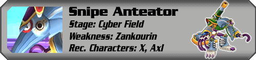 Snipe Anteator